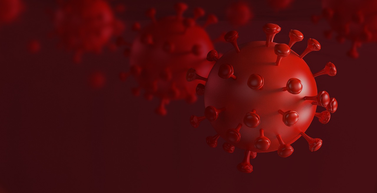 virus, disease, coronavirus-4992133.jpg